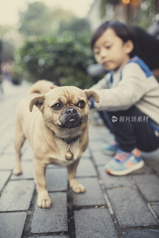 男孩和狗玩