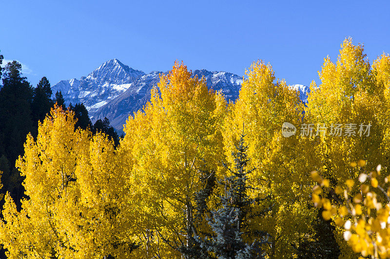 科罗拉多秋天风景