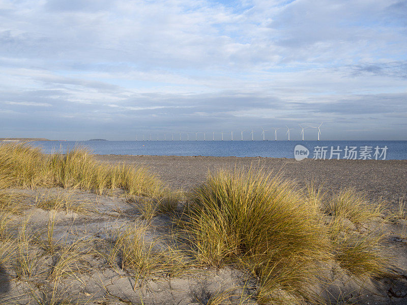 哥本哈根海岸上的风力涡轮机