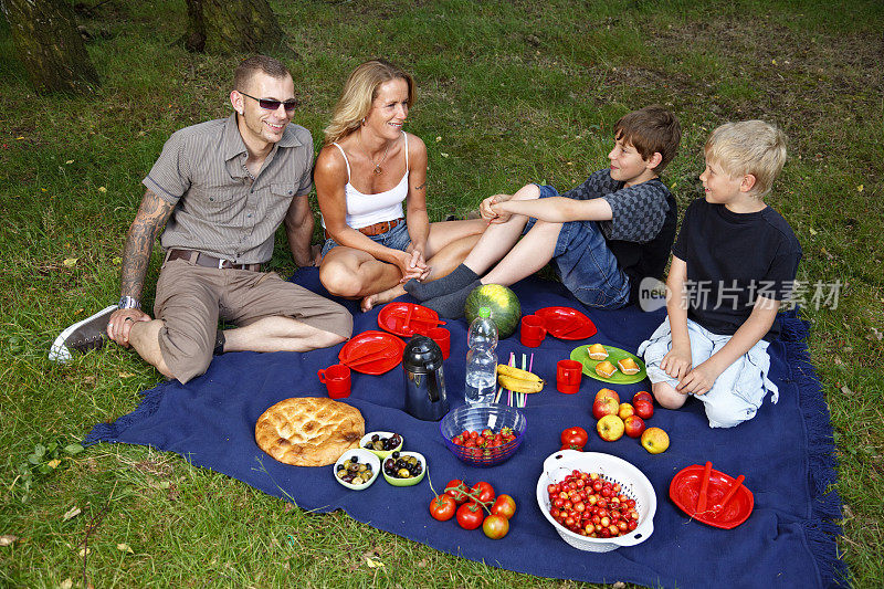 家庭野餐的场景