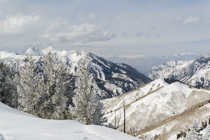 风景秀丽的瓦萨奇山景在冬天从公园城市犹他州