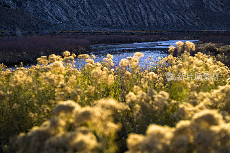 深秋风景优美的科罗拉多河景观