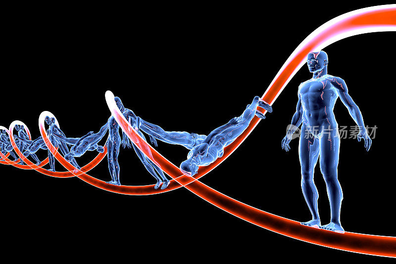 人类的DNA