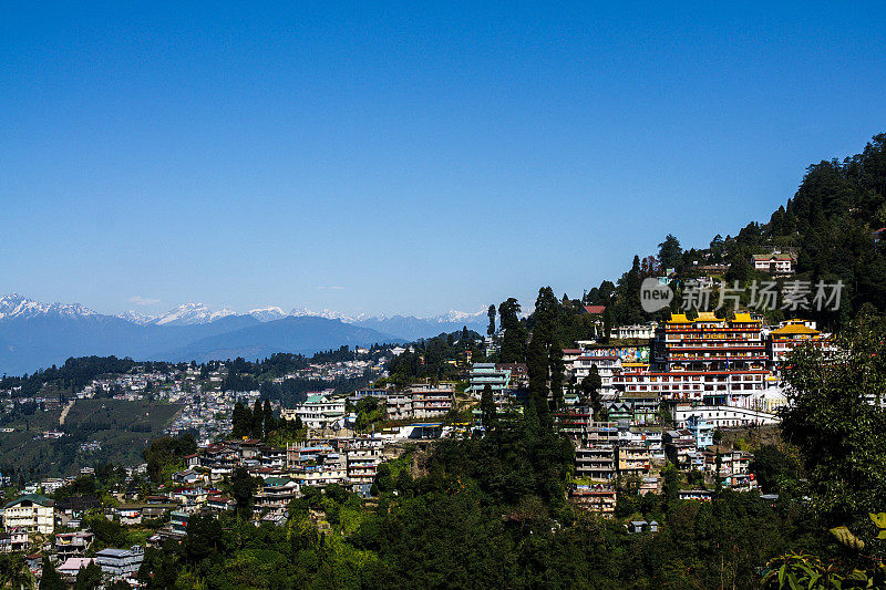 喜马拉雅山脉的大吉岭镇和茶园