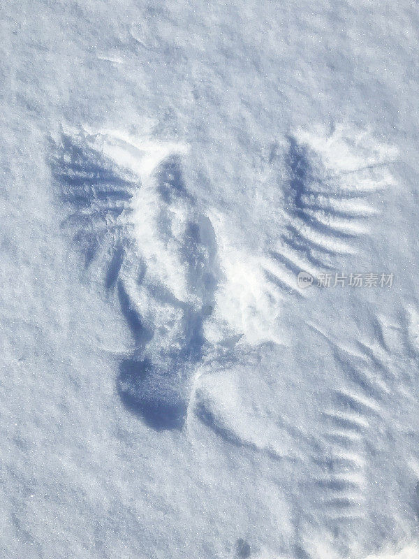 乌鸦在雪上降落创造的乌鸦雪天使