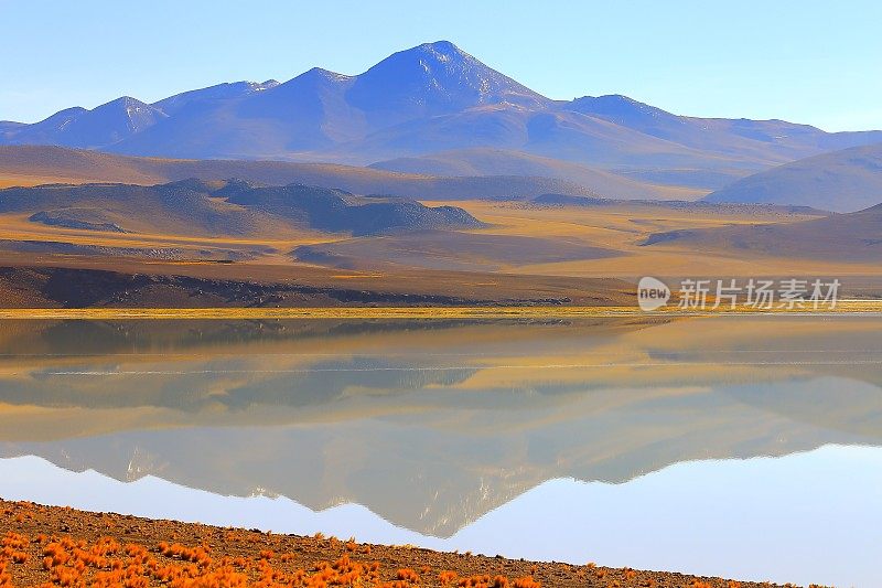 拉古纳图亚克托-图亚克托湖和Miniques雪顶火山-绿松石湖盐镜像反射和田园般的阿塔卡马沙漠，火山景观全景-圣佩德罗阿塔卡马，智利，Bolívia和阿根廷边境