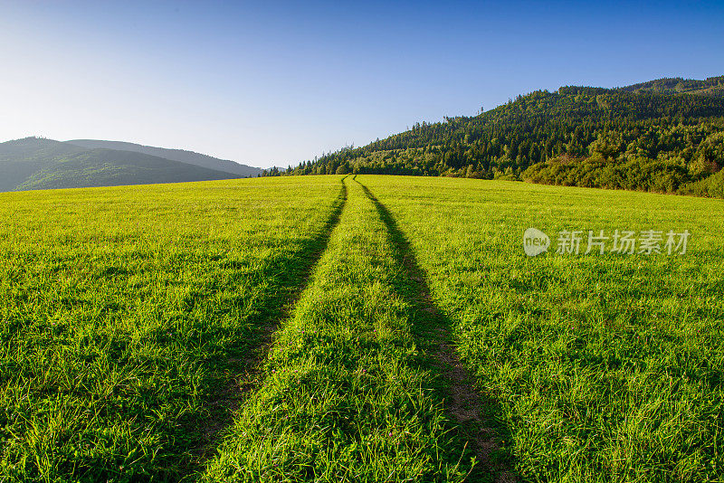 在欧洲的斯洛伐克，一条笔直的路在长满青草的草地上