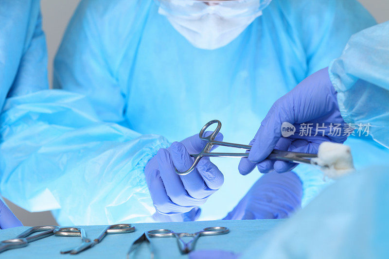 医疗队执行手术的特写。一群外科医生正在为病人忙碌。医学，兽医或医疗保健和医院急诊