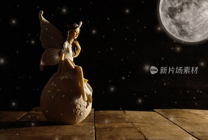 月光下，神奇的小仙女坐在石头上。
