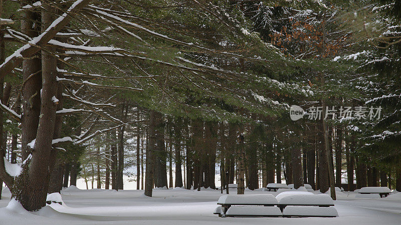 白雪覆盖的公园野餐桌