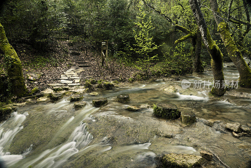 在春天的时候，山间溪流在绿色的森林里