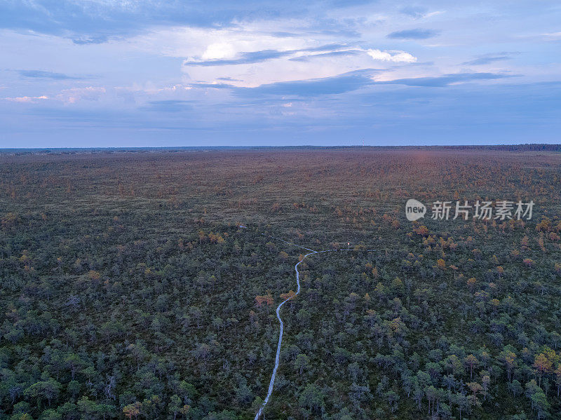 在沼泽傍晚日落的景观