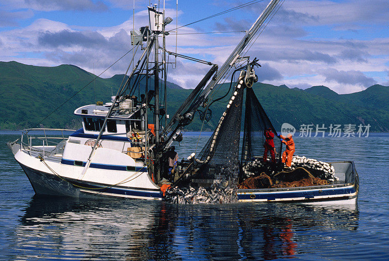 商业鲑鱼渔业