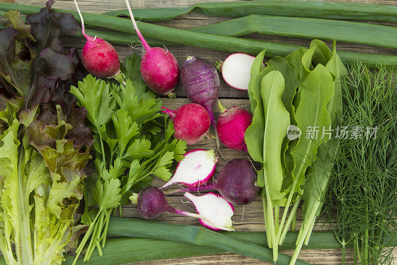 新鲜蔬菜，萝卜，生菜，大葱，莳萝，酸模
