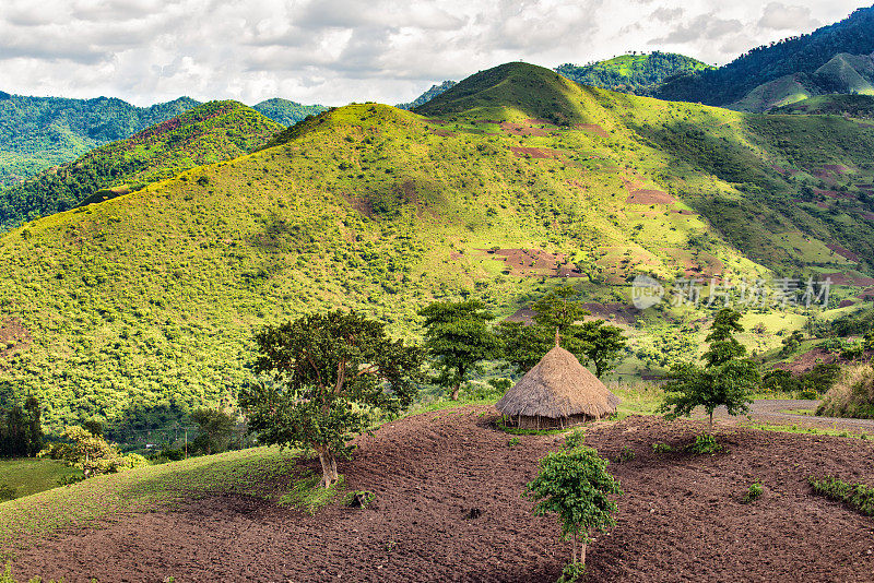埃塞俄比亚南部邦加森林保护区的小屋