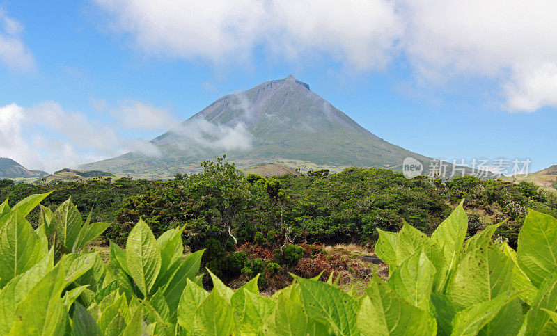 亚速尔群岛的皮科火山