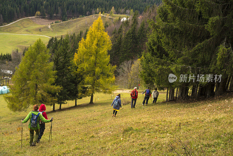 一小群人在斯洛文尼亚帕斯基科兹贾克山的斜坡上徒步旅行。