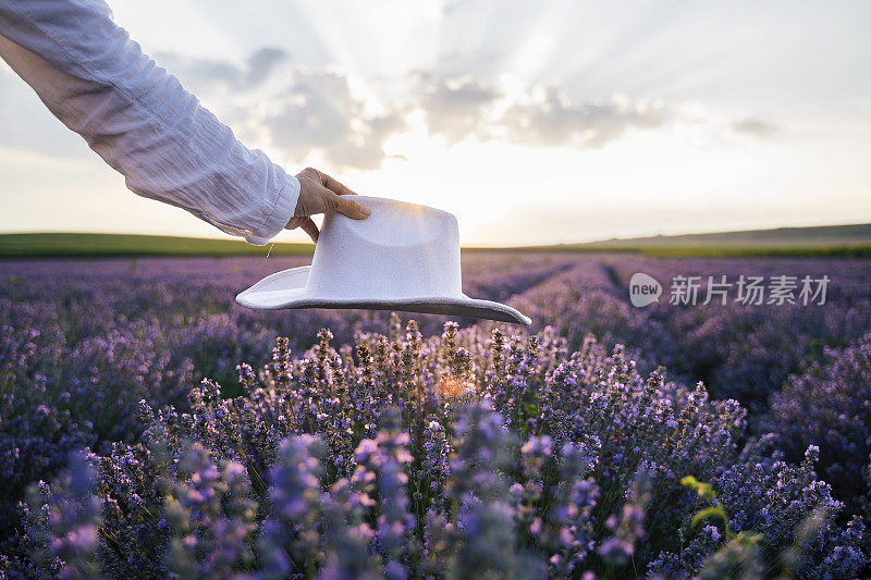 现代农妇走在她的薰衣草田在夏天，小型企业和投资，农业职业。