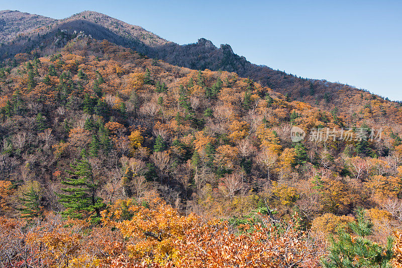 秋天的山