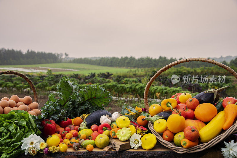 一幅新鲜收获的有机蔬菜、农产品和鸡蛋的静物画，描绘了它们生长的农场。