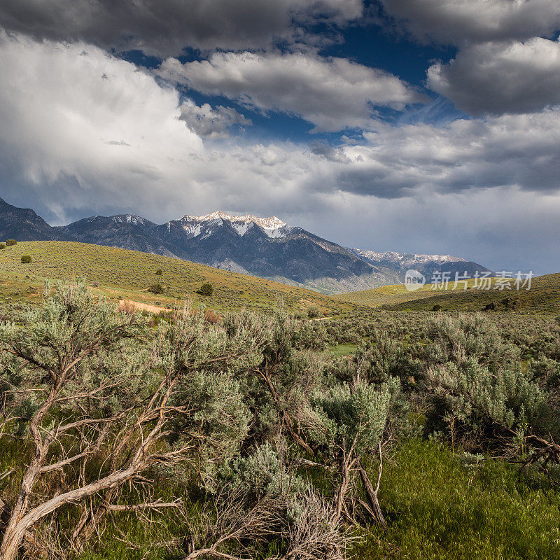 美丽的犹他州景观与Wasatch山脉可见在背景。