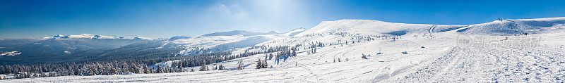 美丽的冬季全景与新鲜的粉末雪。风景与云杉，蓝天与阳光和高喀尔巴阡山脉的背景