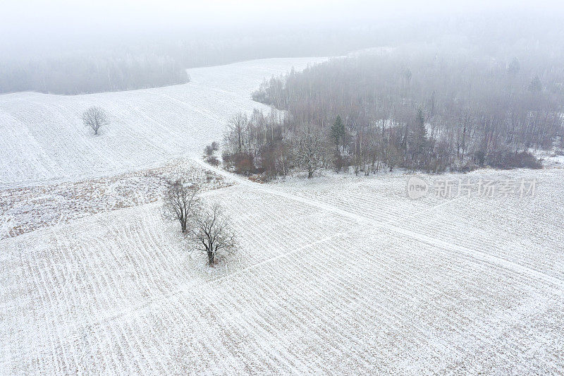 鸟瞰图的冬季农村景观在多雾天气