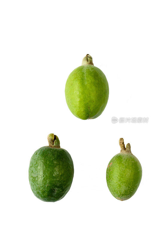 三种青feijoa水果