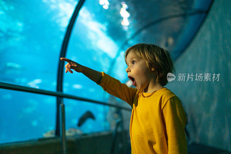 可爱的男孩参观水族馆