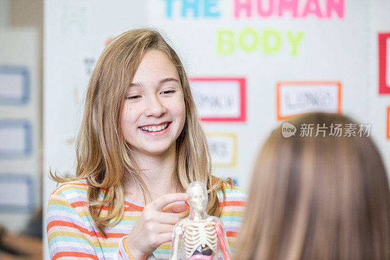 在科学展览上，女学生指着人体模型上的大脑
