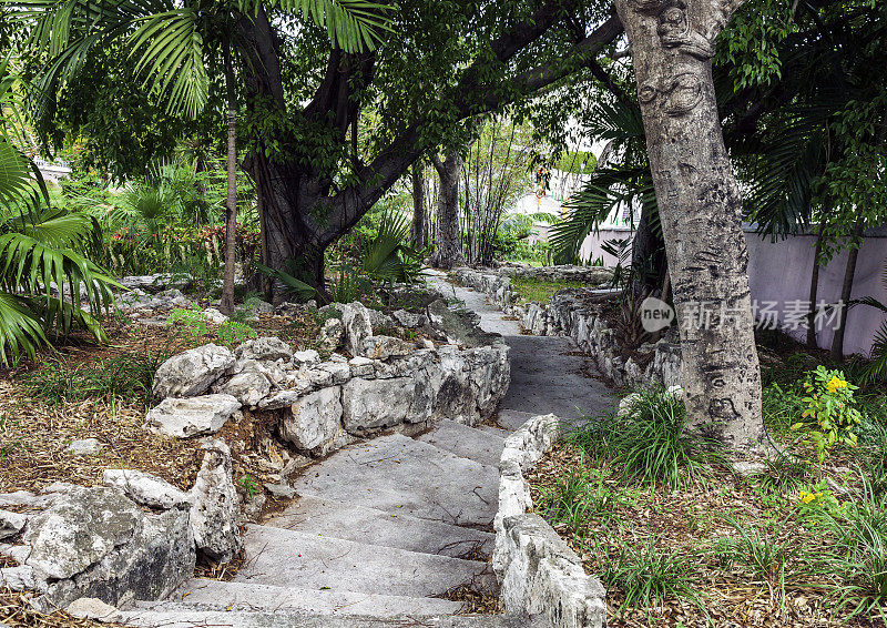 在巴哈马纳苏阿，巨石和树木保护着通往山下的混凝土台阶