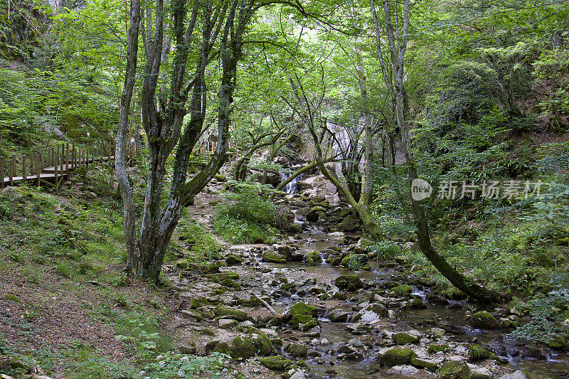 杜普尼萨洞穴附近的自然景观