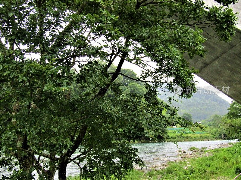 日本。7月。在这条山间河流的桥下。