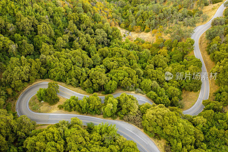 美丽的道路。