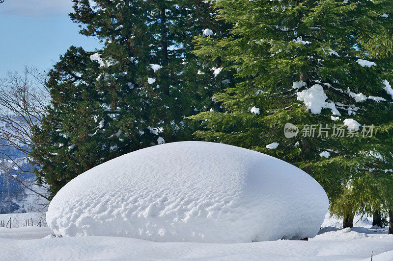 小屋被大雪覆盖着