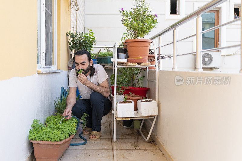 关心和灌溉他在阳台上生长的植物的人。