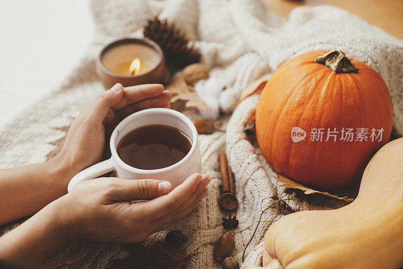 惬意的秋天，慢生活。手握温暖的一杯茶在时尚的针织毛衣上有南瓜，秋天的树叶，燃烧的蜡烛。感恩节快乐。你好,秋季