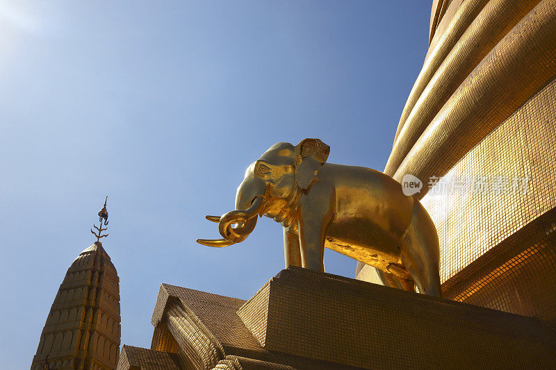 曼谷卧佛寺的金色大象雕像