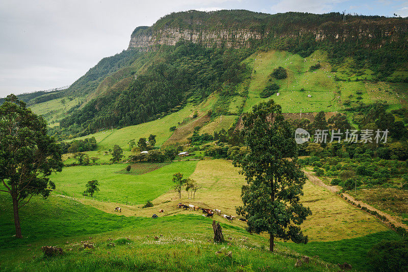 哥伦比亚农村农场和山区