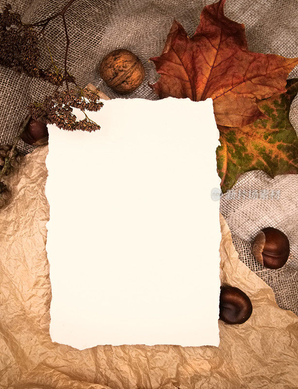 秋日秋日平卧顶景构图。黄色的枫叶和白色的工艺自然棕色的纸。为文本留出空白复制空间的作文。用于海报、卡片等