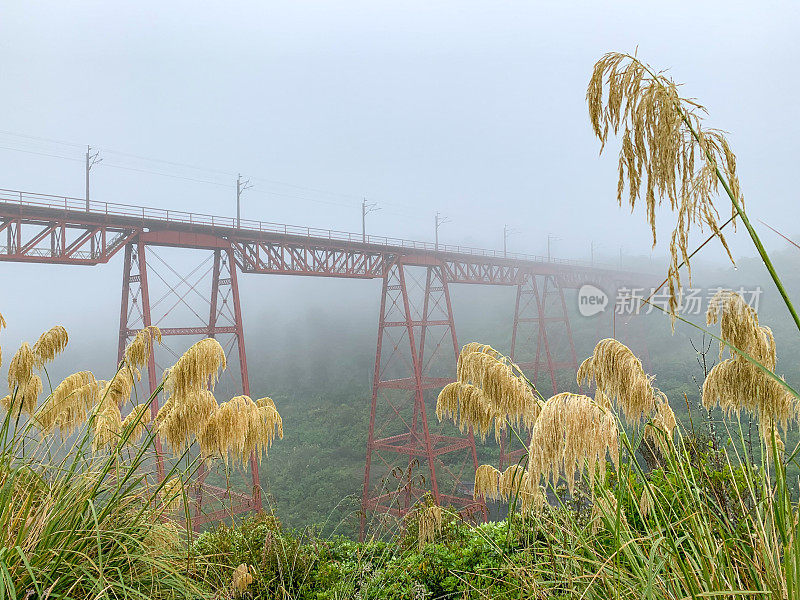 新西兰北岛的Makatote高架桥