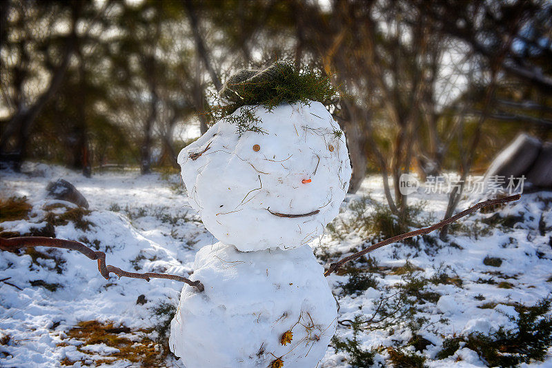 晚餐平原地上的雪人