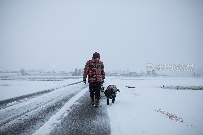 下雪天在乡间小路上遛狗
