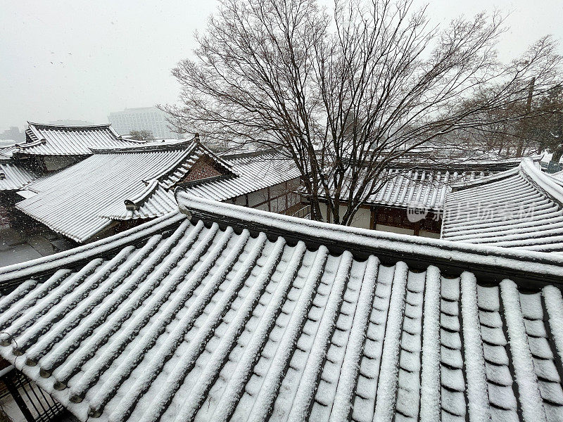 首尔的雪天