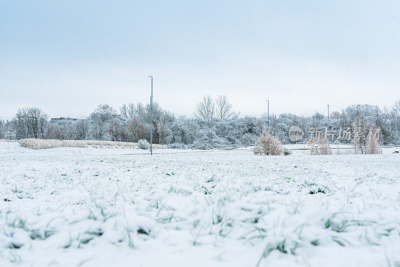 一个寒冷的早晨，这个季节的第一层雪