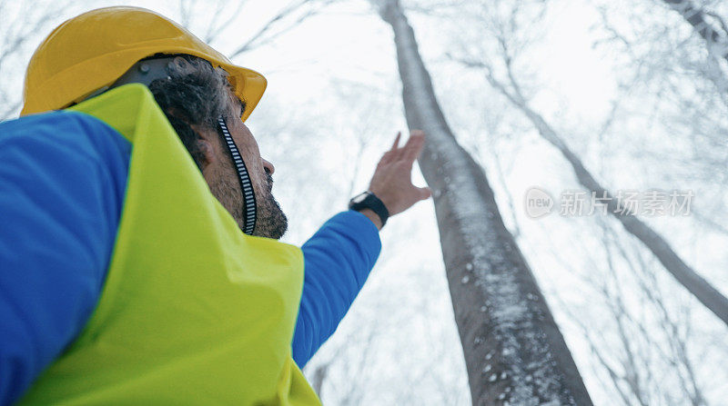 生态学家在山毛榉林进行实地调查。可持续性和生态系统保护。