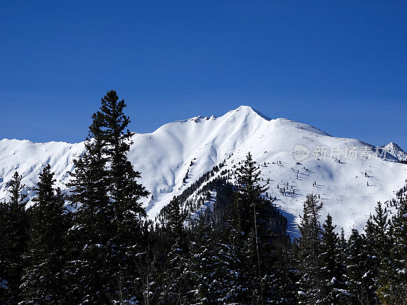 从科罗拉多州阿斯彭的雪山滑雪场眺望远方的冬季。