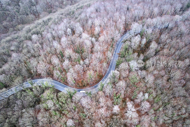 从森林上空看到的道路