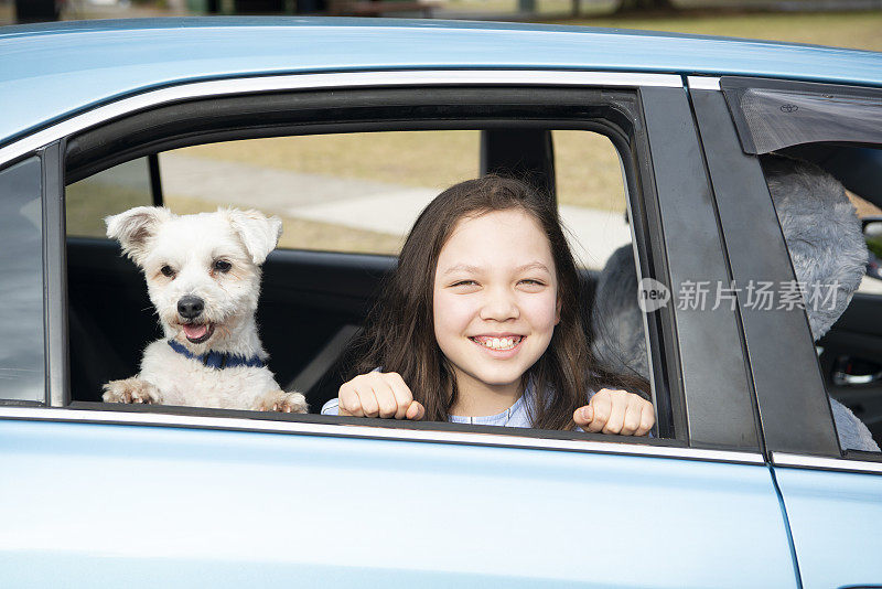 车窗外的女孩和狗