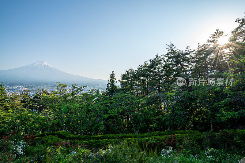 春天的富士山